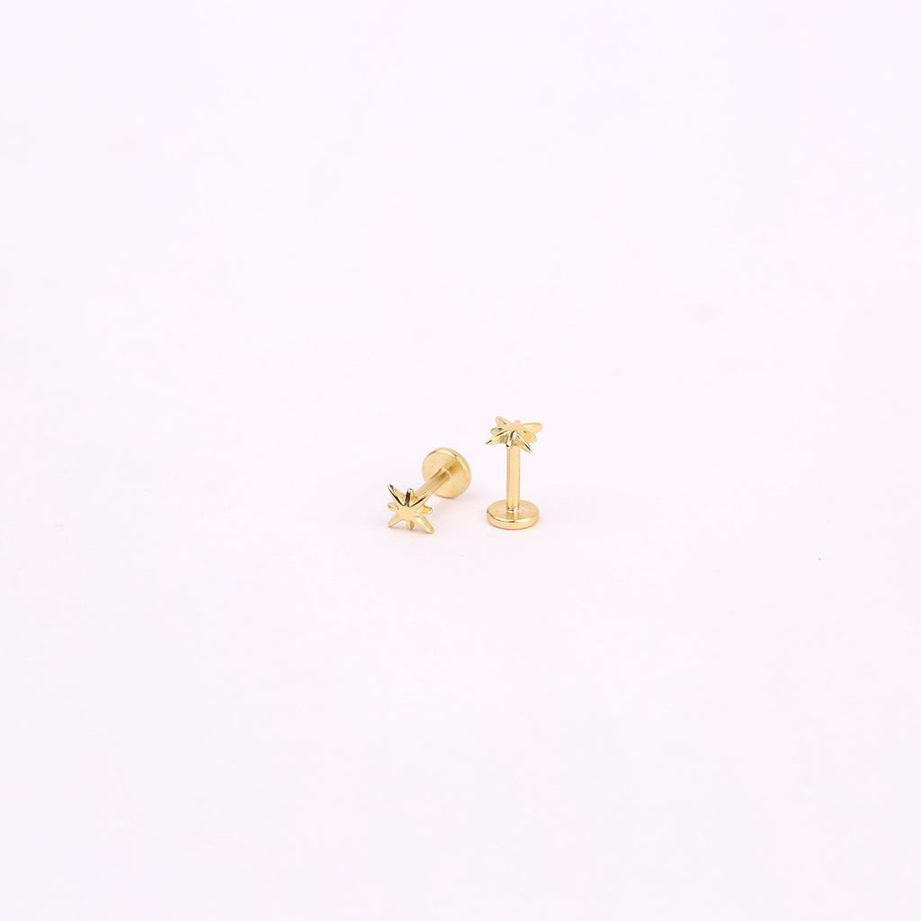 Tiny Star Threadless Push Pin Labret