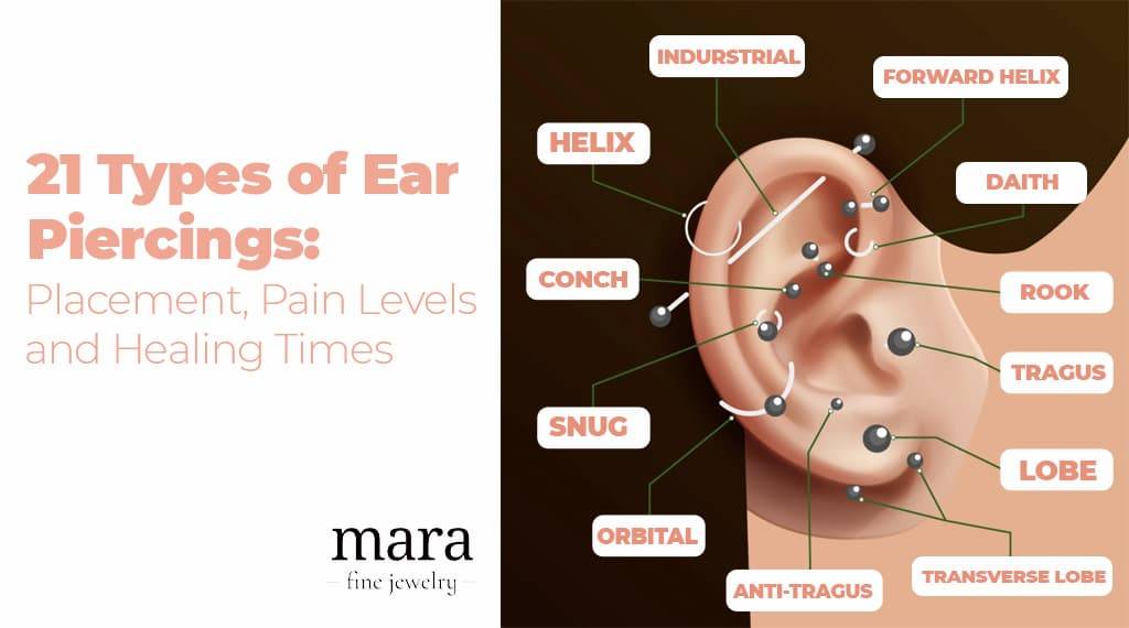 A collection of traditional ear piercings, including lobe, helix, and tragus piercings, adorned with different types of jewelry.